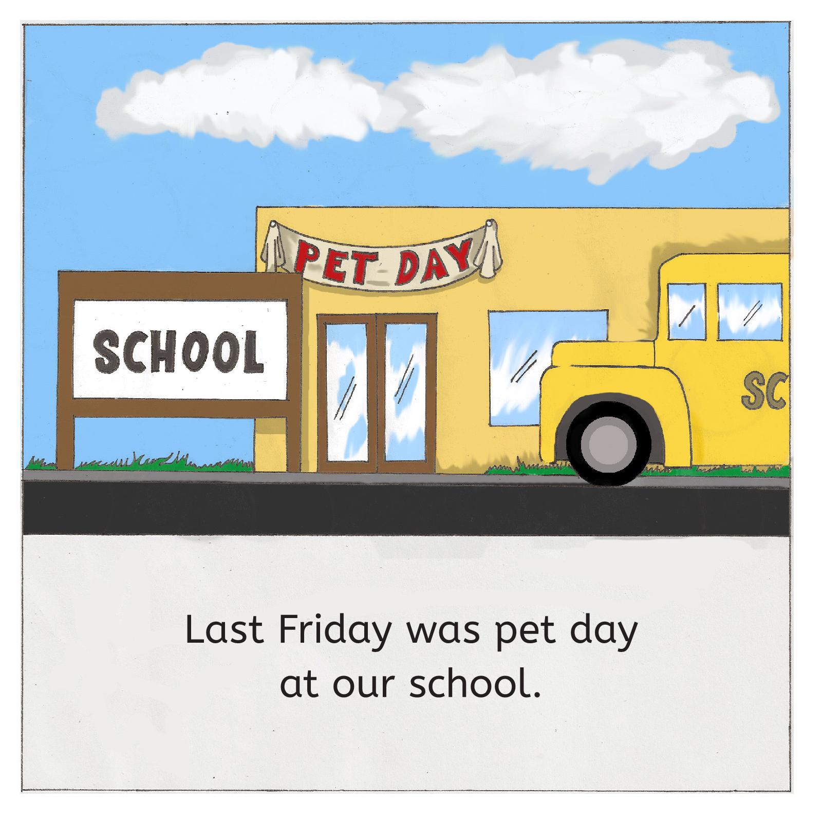 Men's Competition Barbell Set