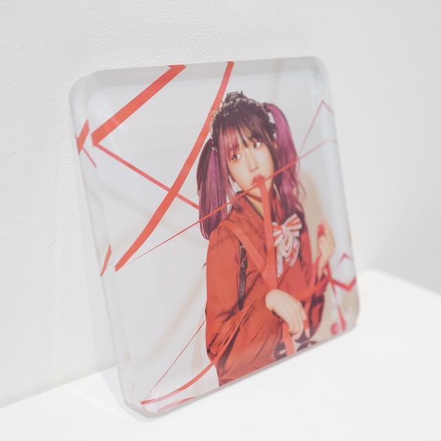 Men's Competition Barbell Set